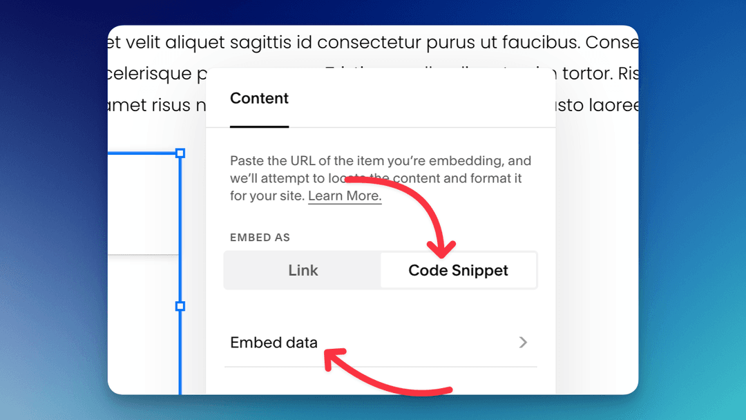 Use Code Snippet mode